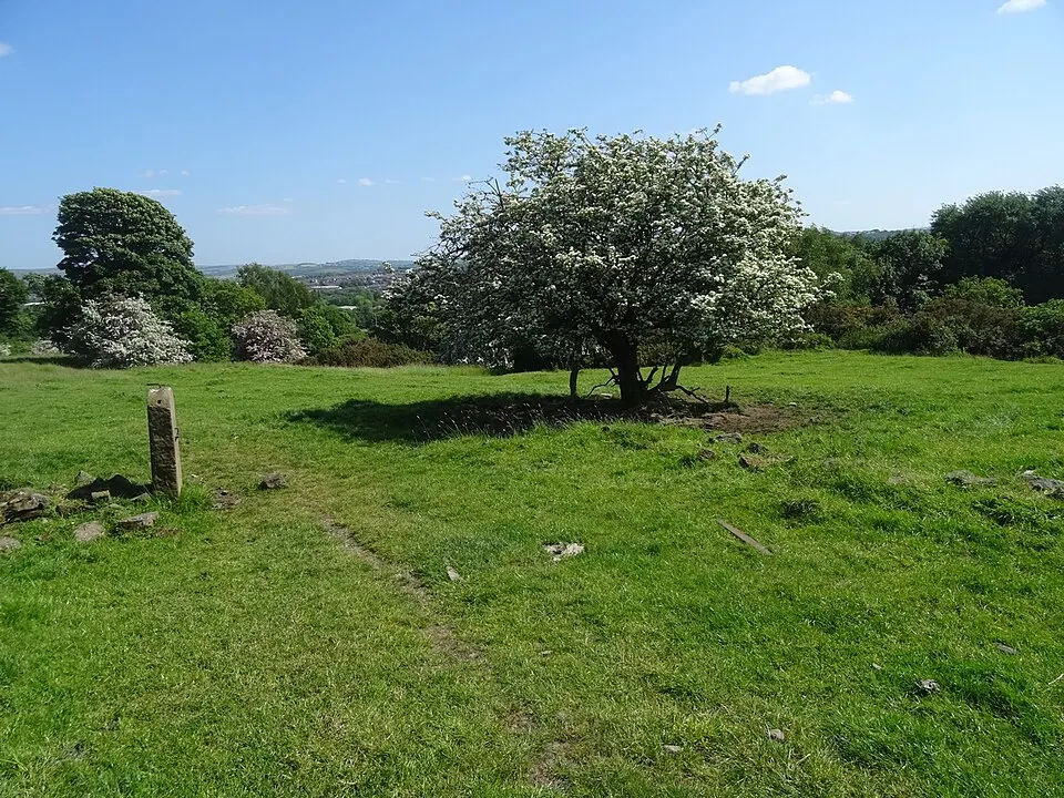 Witton Country Park, the local landmark of BB2