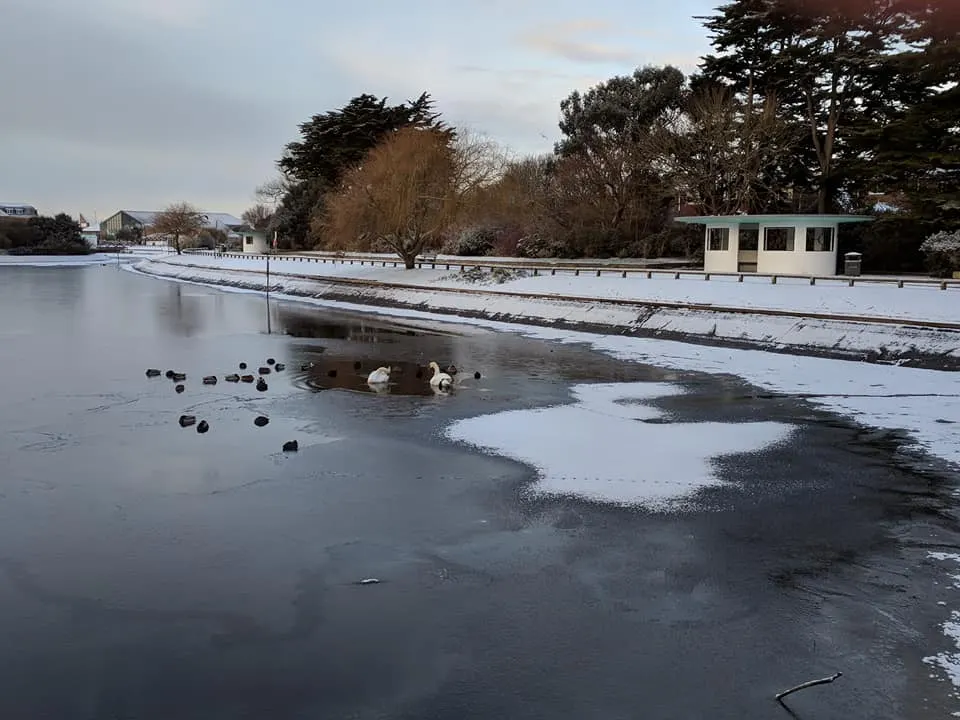 Mewsbrook Park, the local landmark of BN16