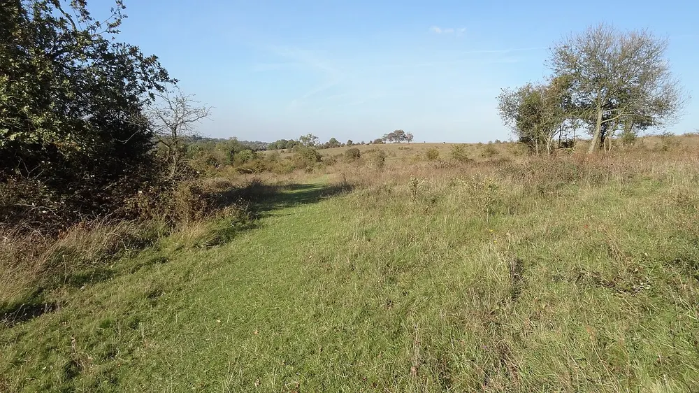 Farthing Downs, the local landmark of CR5