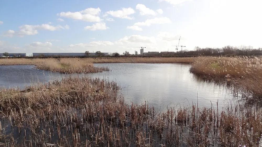 Crossness Nature Reserve, the local landmark of DA18