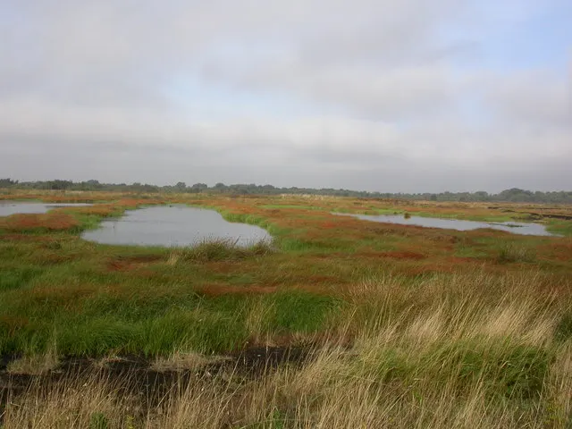 Thorne and Hatfield Moors, the local landmark of DN8
