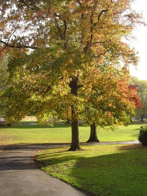 Belmont Park, Exeter, the local landmark of EX1