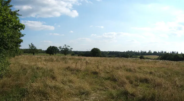 Horton Country Park, the local landmark of KT19