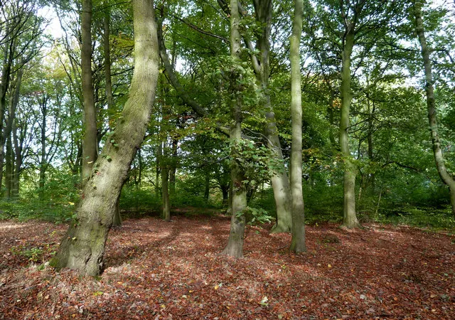 Middleton Park, the local landmark of LS10