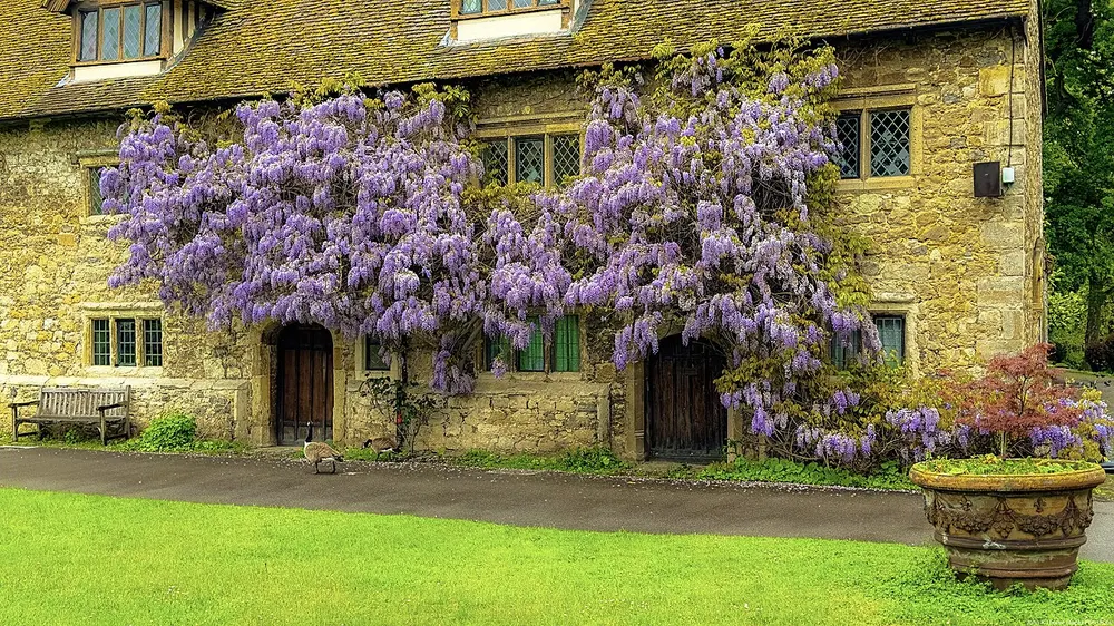 Aylesford Priory, the local landmark of ME20