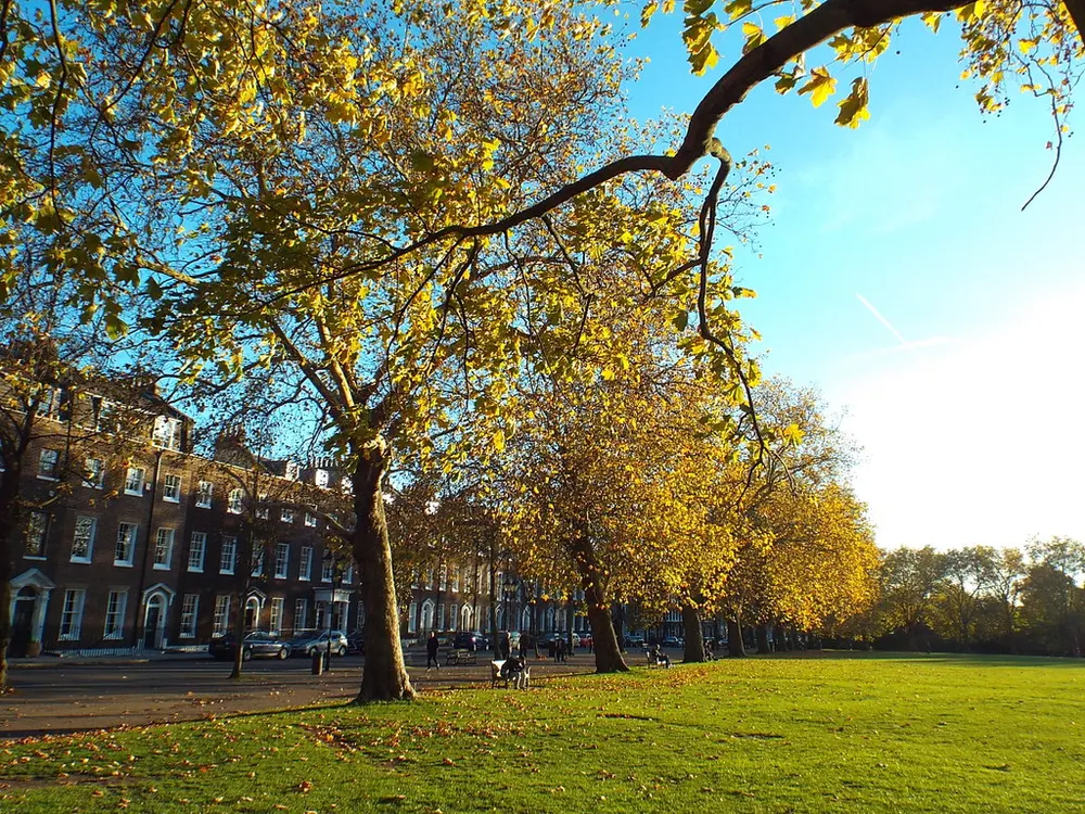 Highbury Fields, the local landmark of N5