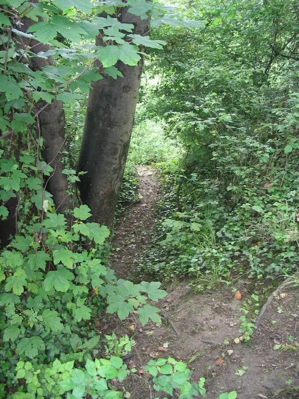 Hilsea Lines, the local landmark of PO3