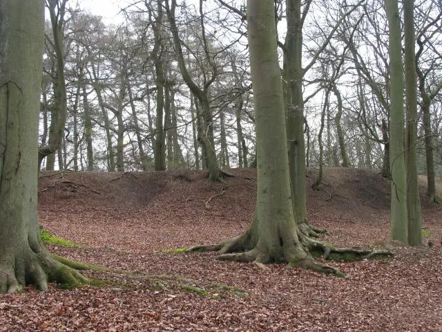Grimsbury Castle, the local landmark of RG18
