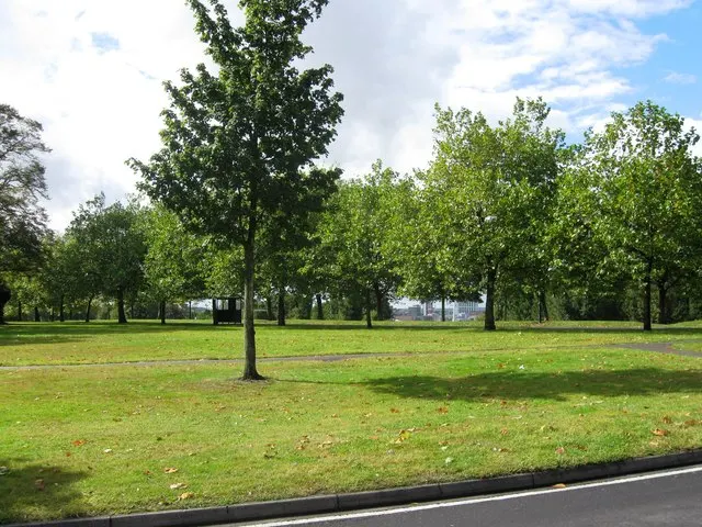 Peartree Green, the local landmark of SO19
