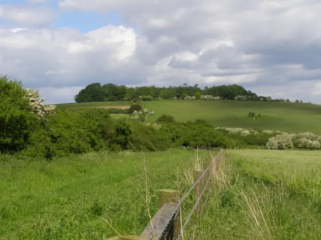 Clearbury Ring, the local landmark of SP5