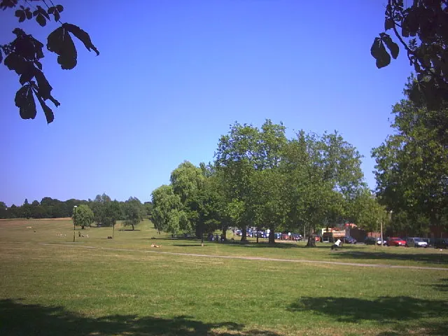 Streatham Common, the local landmark of SW16