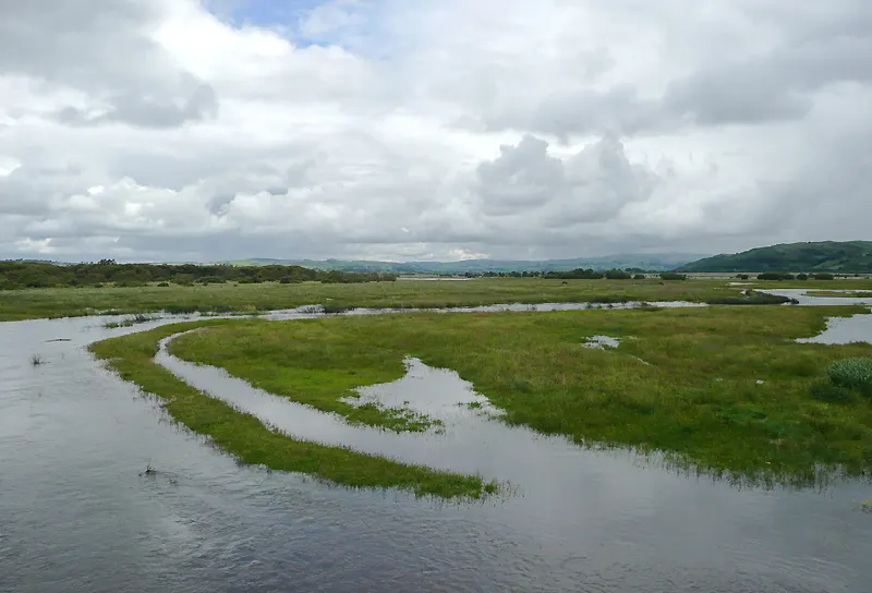 Cors Caron, the local landmark of SY25