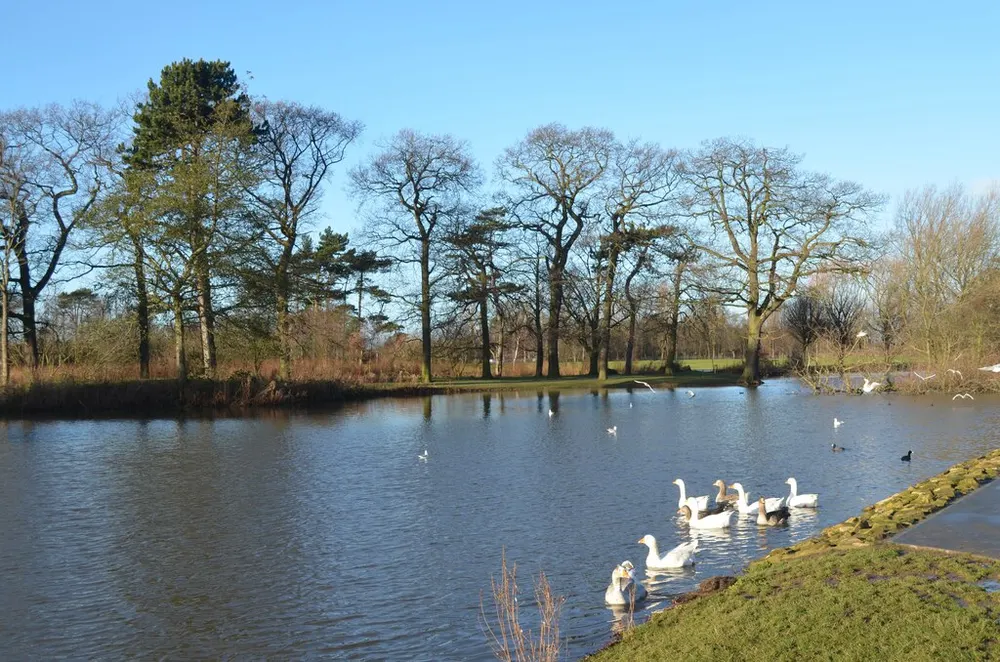 Stewart Park, Middlesbrough, the local landmark of TS7