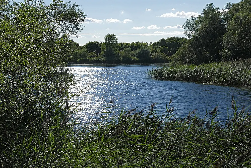 Bedfont Lakes Country Park, the local landmark of TW14