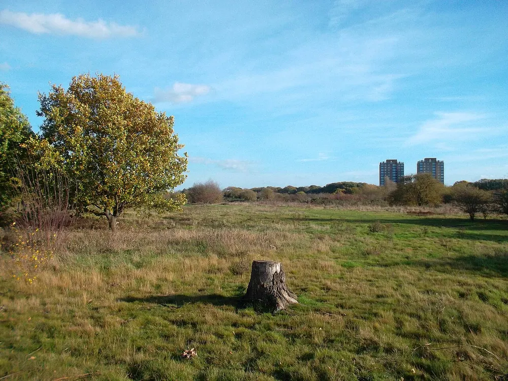 Hounslow Heath, the local landmark of TW4